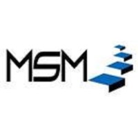 MSM Security Services LLC Logo