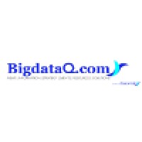 BigDataQ Logo
