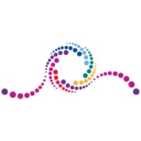 pina solutions Logo