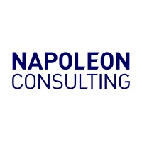 Napoleon Consulting Ltd Logo