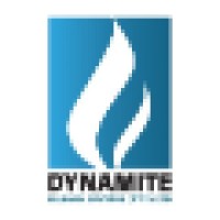 Dynamite Human Capital (PTY) LTD Logo