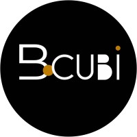 BoCubi Logo