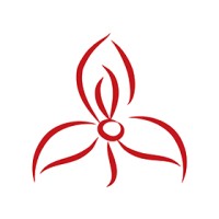 Disa Irrigation Logo