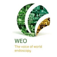 World Endoscopy Organization (WEO) Logo