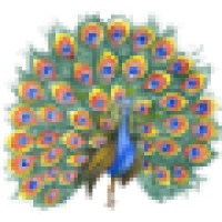 Arkè Formazione Logo