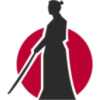 iRonin.IT – Software House Logo