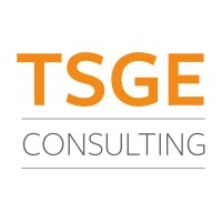 TSGE Consulting Logo