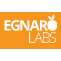 Egnaro Labs LLC Logo