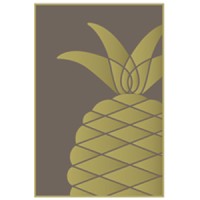 Barry Investment Advisors Logo