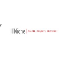 IT Niche Logo