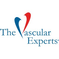 The Vascular Experts Logo