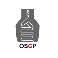 One Silicon Chip Photonics Logo