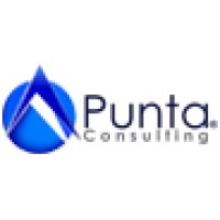 Punta Consulting, LLC Logo