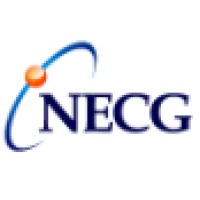NECG - Nuclear Economics Consulting Group Logo