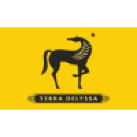 Terra Delyssa Logo