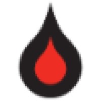 International Medical Management (IMM) Logo