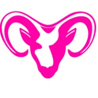 Capricorn Retail Advisors Logo