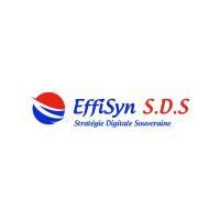 Effisyn S.D.S Logo