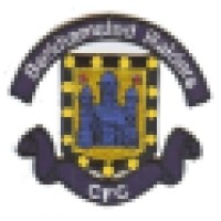 Berkhamsted Raiders CFC Logo