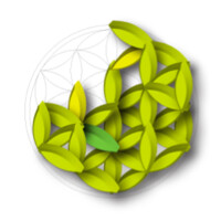 Fair Capital Partners Logo