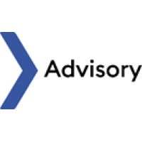 DS Advisory Logo