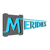 MERIDIES PLASTURGIE Logo