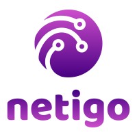 Netigo CE s.r.o. Logo