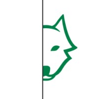 Scott Wolfe Chartered Professional Accountants Inc. Logo