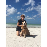 Embrace The Messy Leadership Coaching, LLC Logo