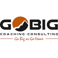 Go Big Coaching and Consulting Logo