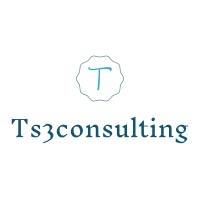 Ts3Consulting Logo
