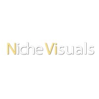 Niche Visuals Logo