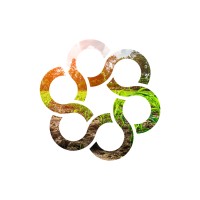 ACE – Agriculture Collateral Experts Logo