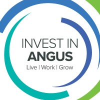 Invest in Angus Logo