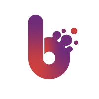 Blinx Solutions Logo