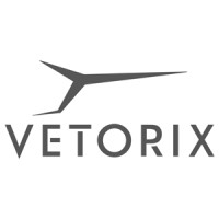 Vetorix Engineering srl Logo