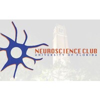 The Neuroscience Club at UF Logo
