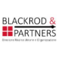 BLACKROD & PARTNERS Logo