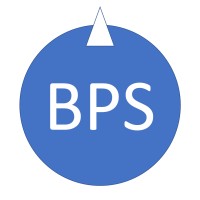 Bearing Point Strategy LLC Logo