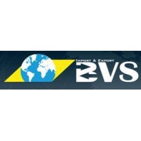 BVS Import Export Logo