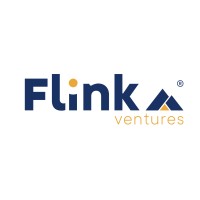 Flink_Ventures Logo