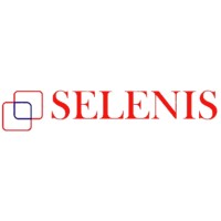 Selenis - Strategic consulting Logo