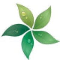 5 Point Physical Therapy PLLC Logo