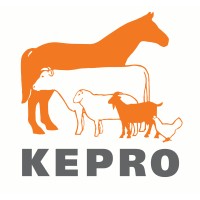 Kepro B.V. Logo