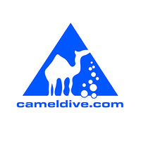 Camel Dive Club & Hotel Logo