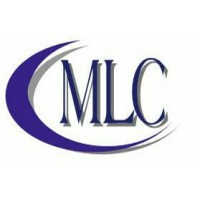 Meta-Life Coaching. Logo