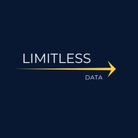 Limitless Data LLC Logo