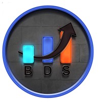 Bhartiya Digital Services (BDS) Logo