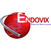 Endovix Produtos Hospitalares Logo