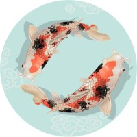 Koi Coaching Consulting & Yoga Logo